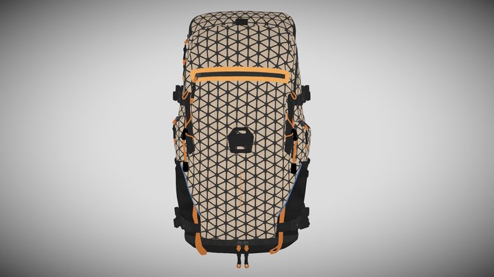 Bag Piquadro 3D Model