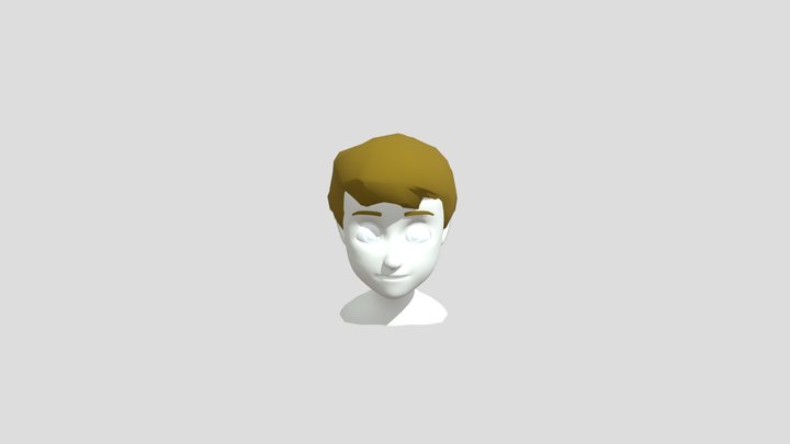 Face1 3D Model