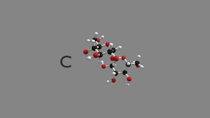 Disaccharide C 3D Model