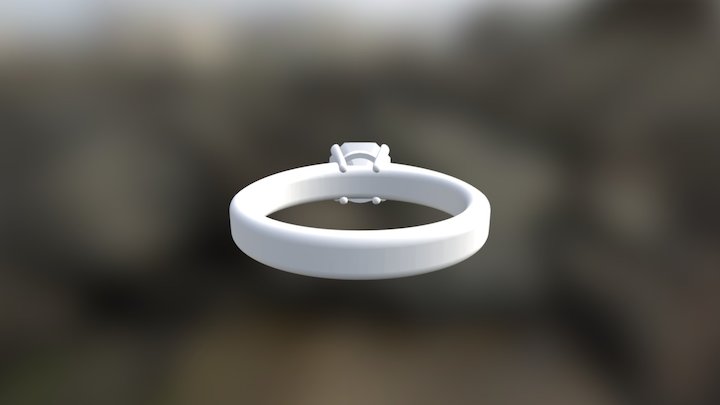 Ring Zip 3D Model