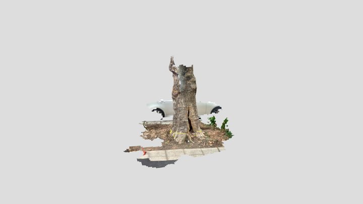 TS30458 3D Model