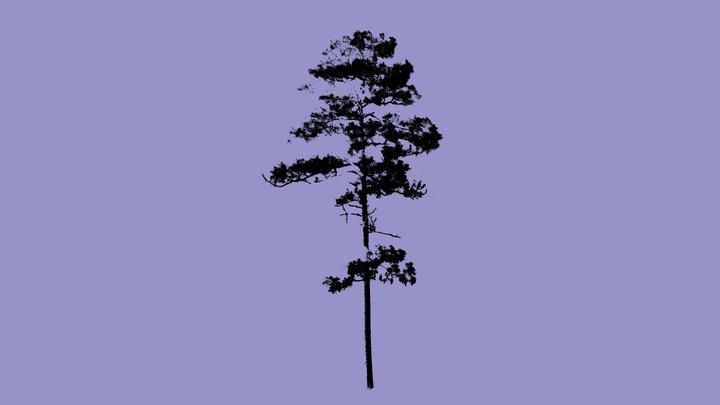 Wade Tree 18 - Cloud 3D Model