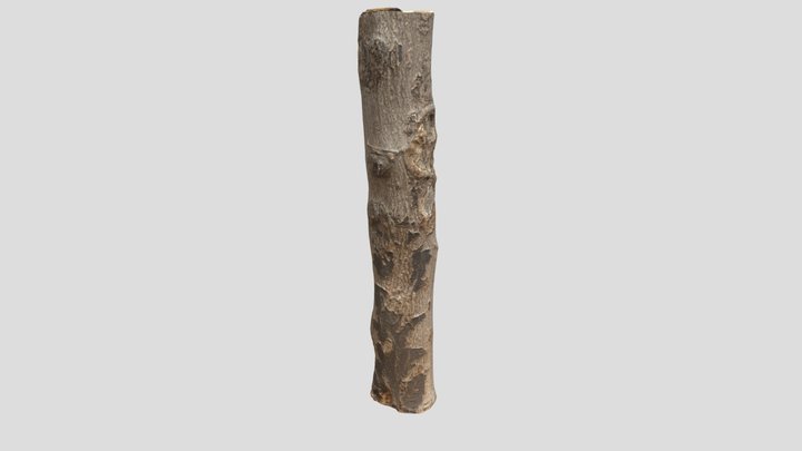 Tree Stump 3D Model