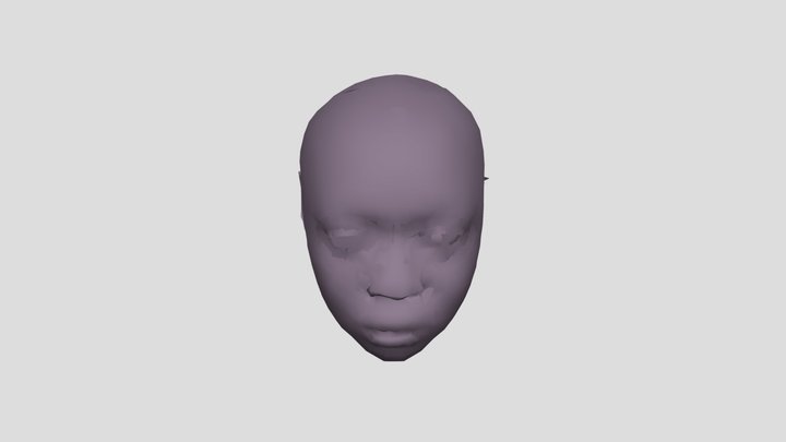 Retoplizing face 3D Model