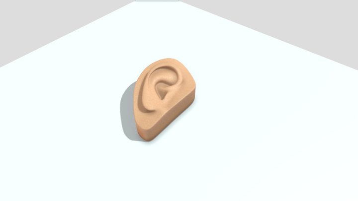Task Ear 3D Model
