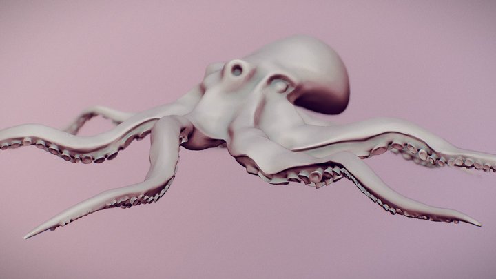 Octopus asset 3D Model