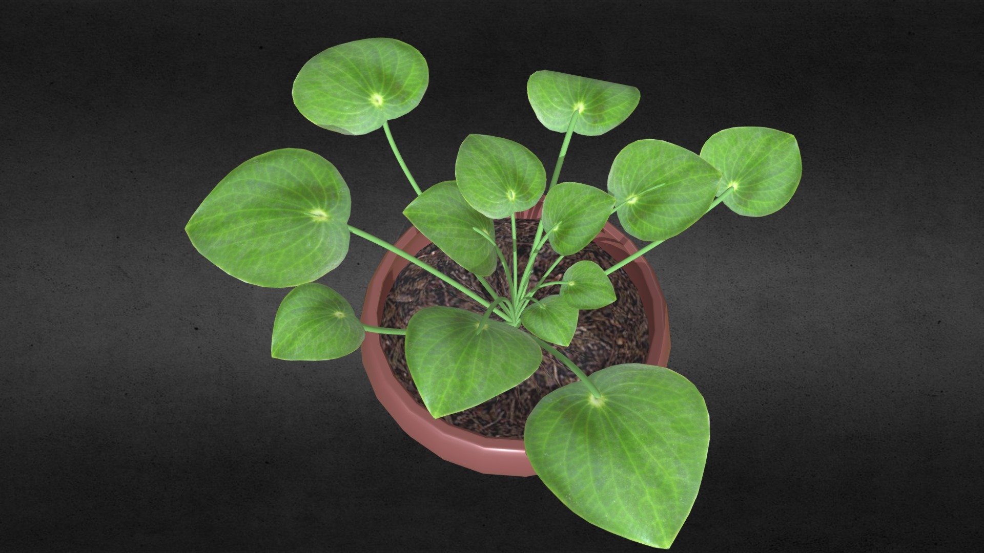 Zih-Ting Yang_CGT116_Wk8_PlantsCreation
