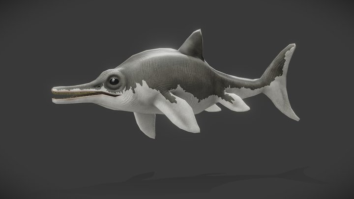 Ichthyosaurus Communis 3D Model