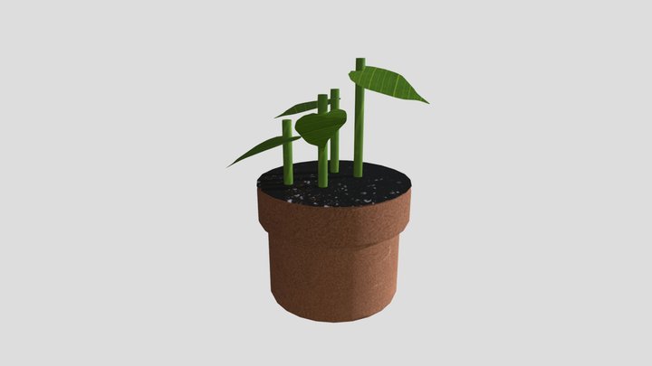 Monstera Plant 3D Model