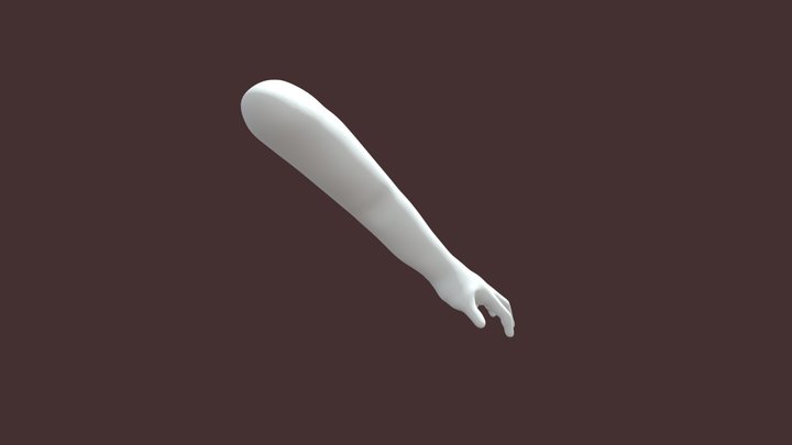 Left Arm 3D Model