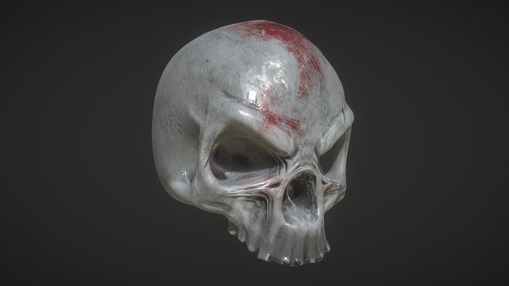 Skull 3D Model