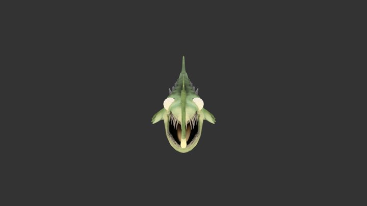 Angler Fish Project 3D Model
