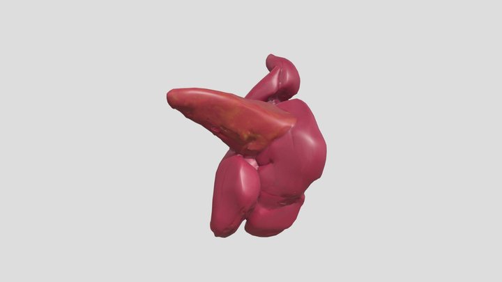 longflamingo – Kostenloses 3D-Modell STL