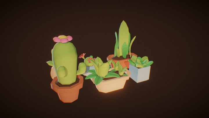 Cactuses and succulents 3D Model