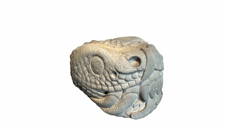 Snake's Head 3D Model