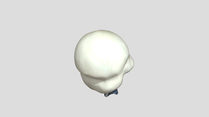 Humeral_Head 3D Model