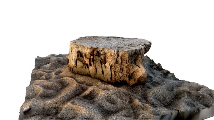 Tree trunk table in sand 3D Model