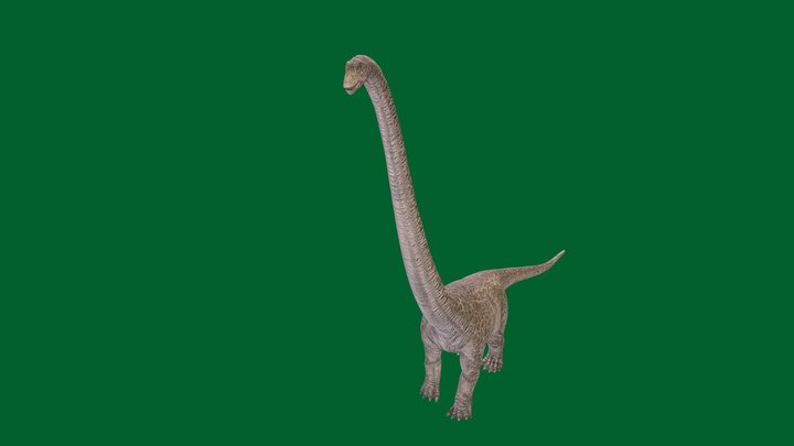 Mamenchisaurus – Free 3D Model STL