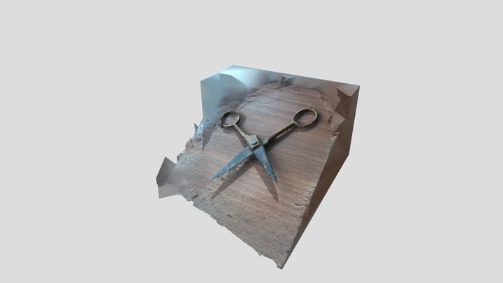 OLD OPEN SCISSOR 3D Model