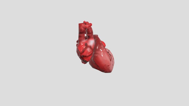 Lowpoly Human Heart 3D Model