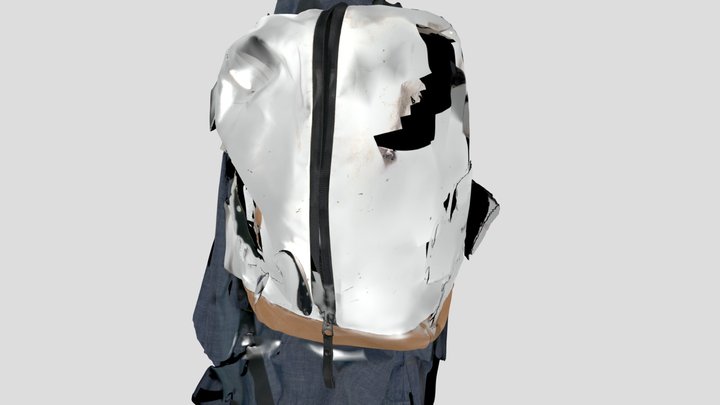 Backpack_Spider1 3D Model