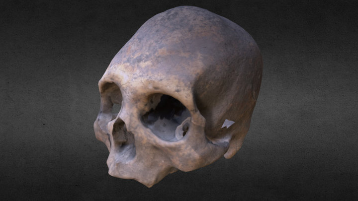 PERITAJE ANTROPOLÓGICO 3D Model