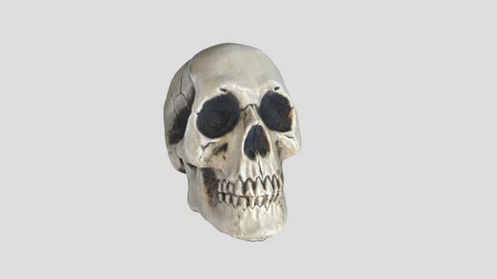 Halloween Decoration - Smiling Skull 3D Model