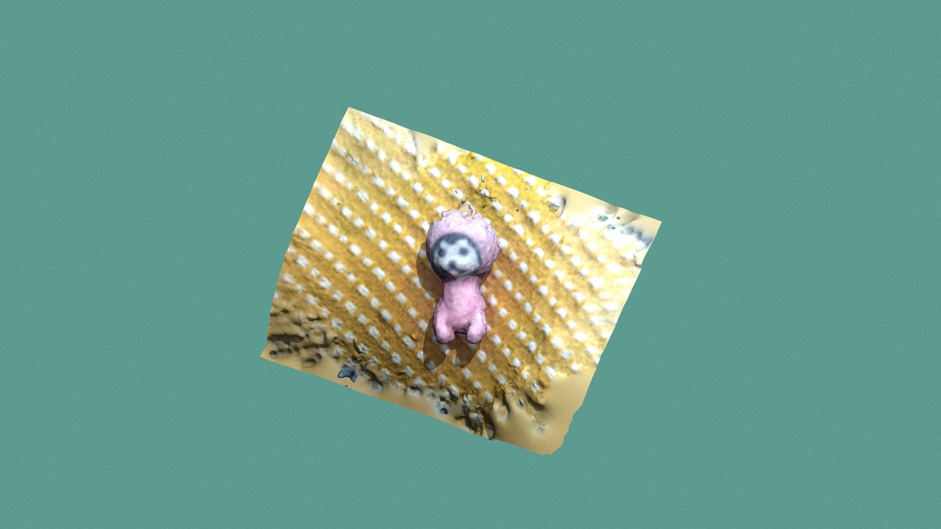 Photogramity test