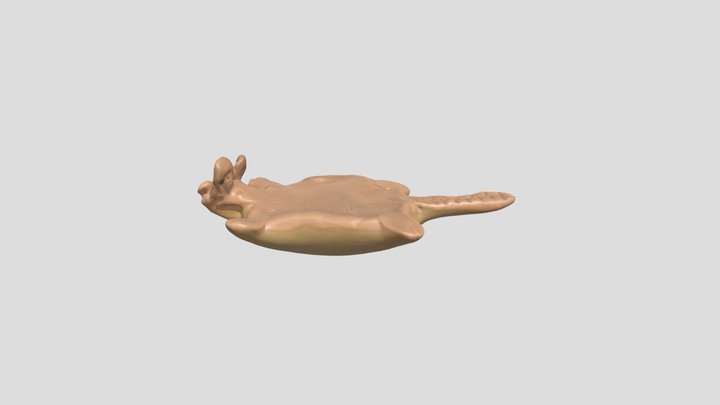 Roadkill Squirrel – Kostenloses 3D-Modell STL