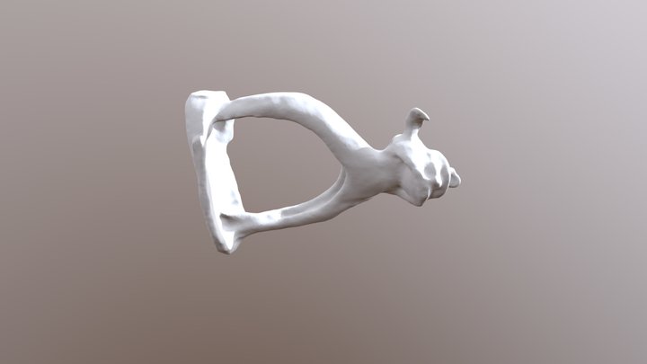 Stapes - ear bone 3D Model