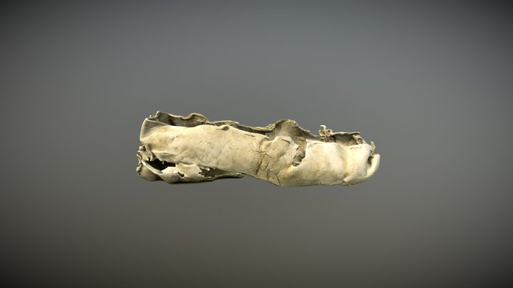 3300 year old bronze age shoe. 3D Model