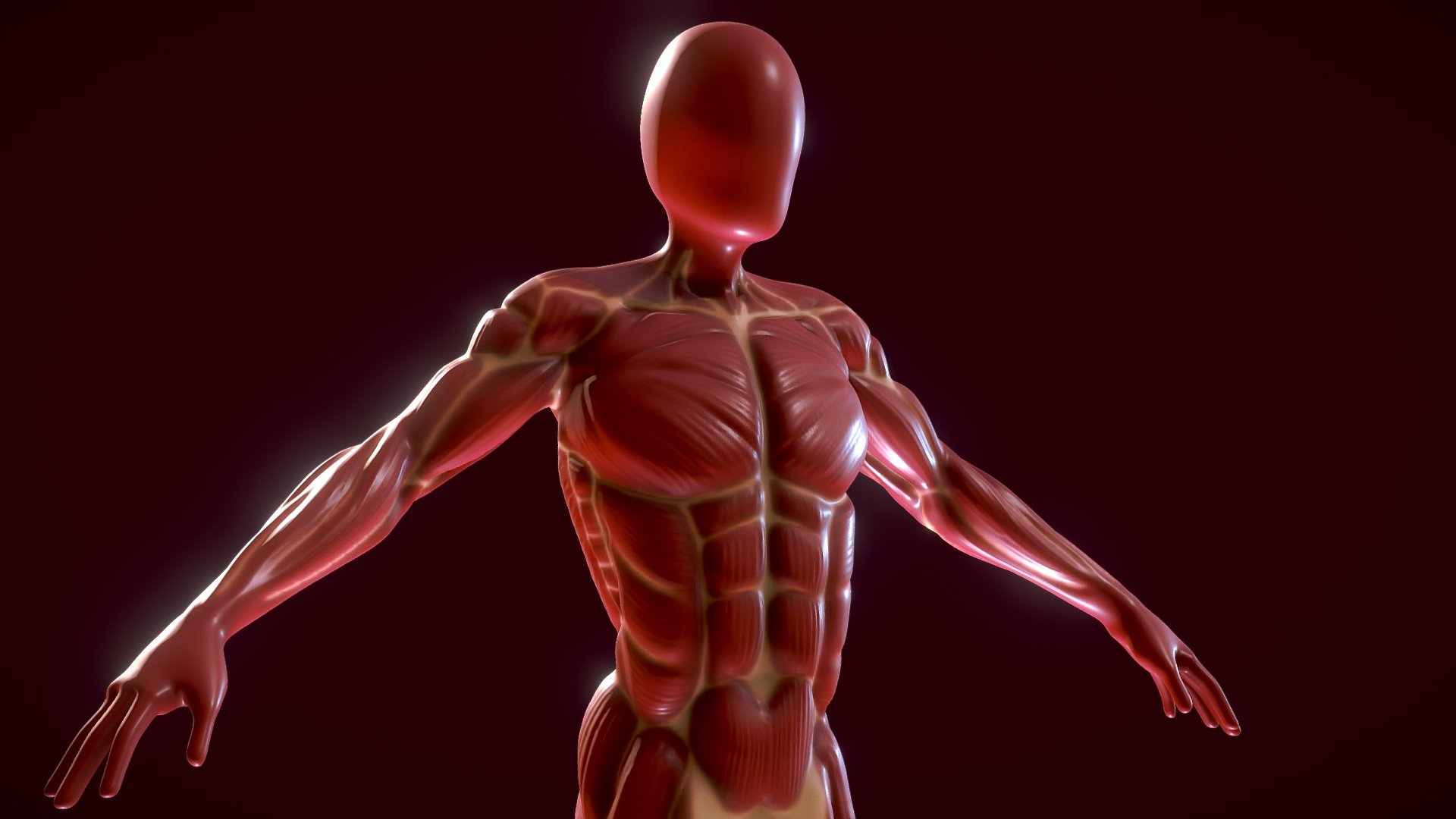 2284_Ponente_Jérôme_Anatomie (écorché)