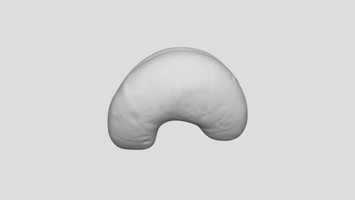 Cashew 3D Model