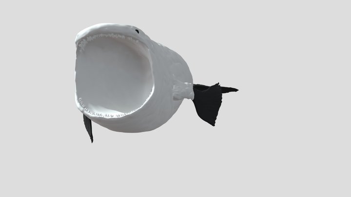 bloop 3D Model