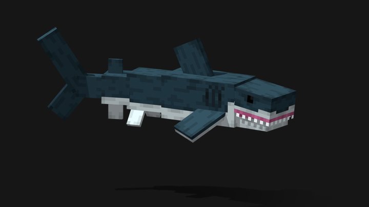 Shark 3D Model