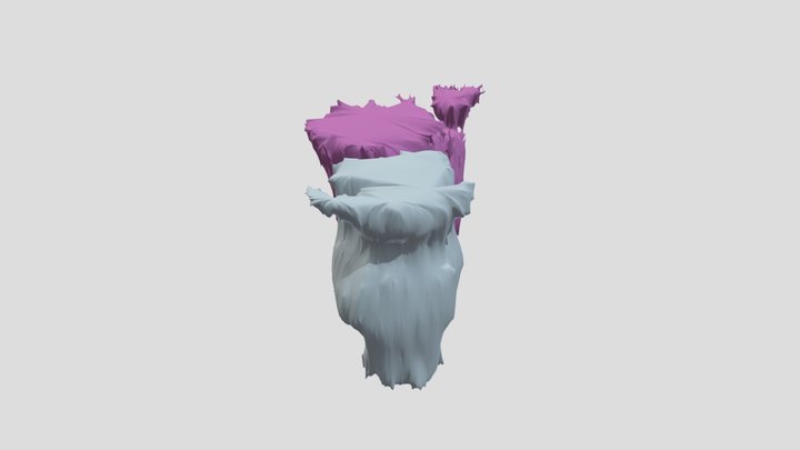 Bladder and Rectum Segmentation - Ultrasound 3D Model