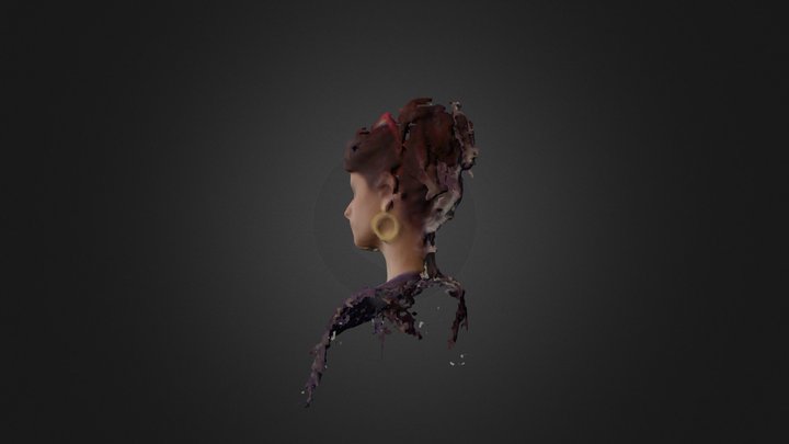 New Skanect Model 3D Model
