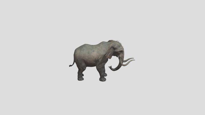 Elephant-animation-idle 3D Model