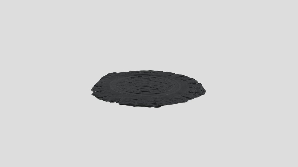 Scan Metal Manhole Cover