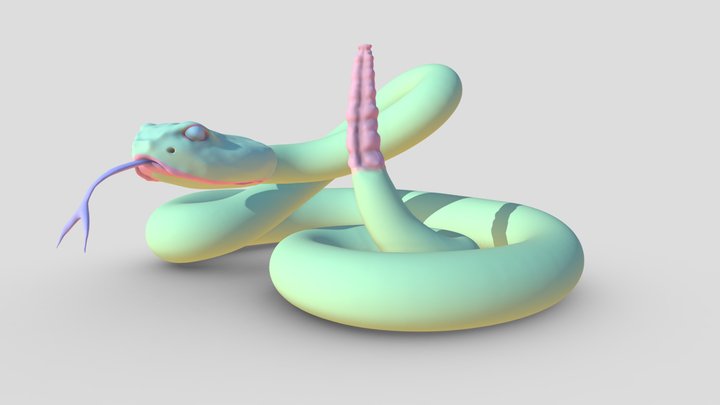 rattlesnake 3D Model