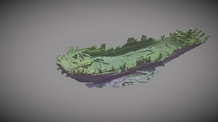 The wreck of Alfred 3D Model
