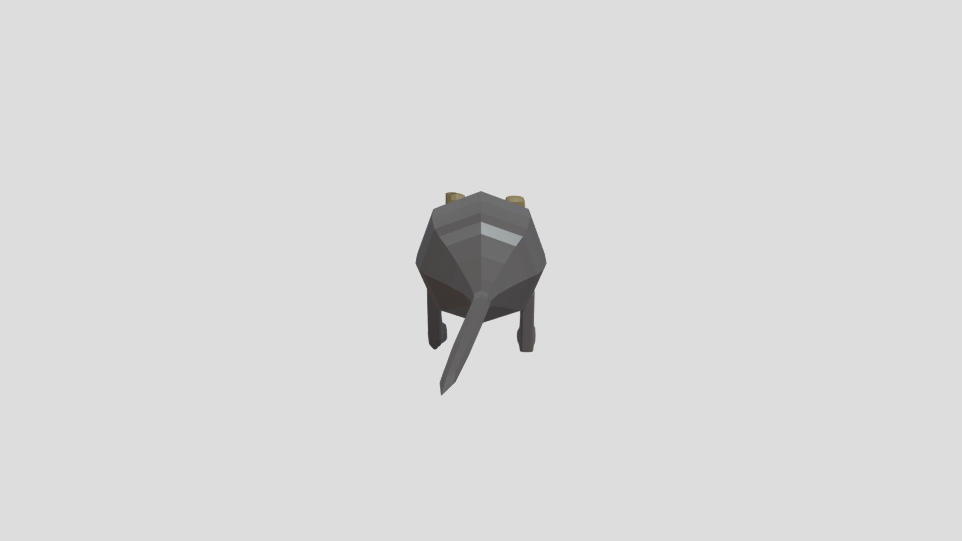 Rat