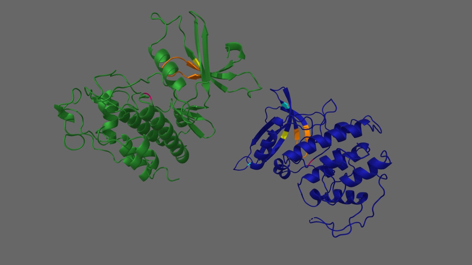 CDC28+CDK4
