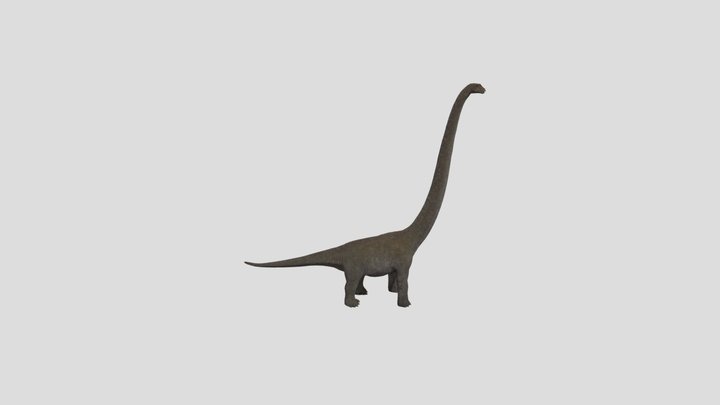 Mamenchi | Dinosaur 3D Model