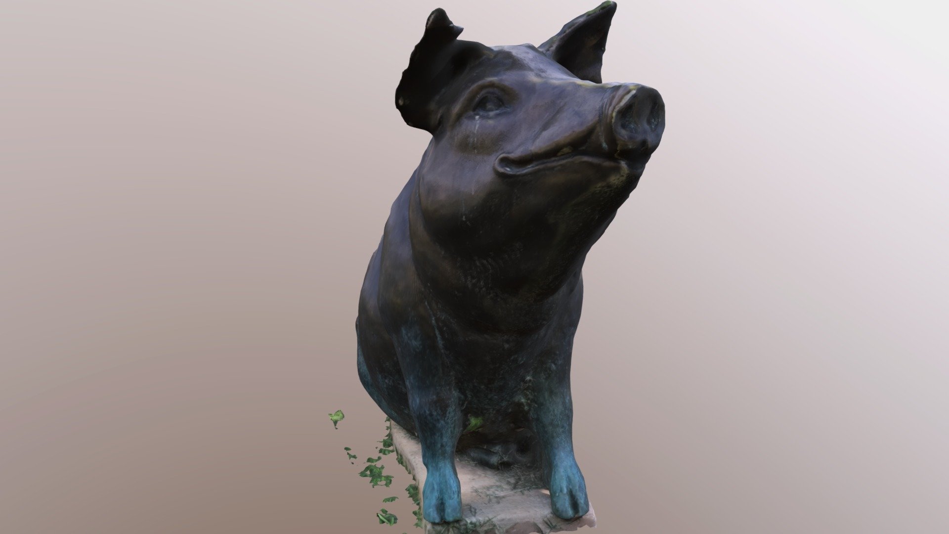 Pig