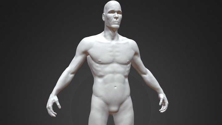 Human Sculpt (Male) 3D Model