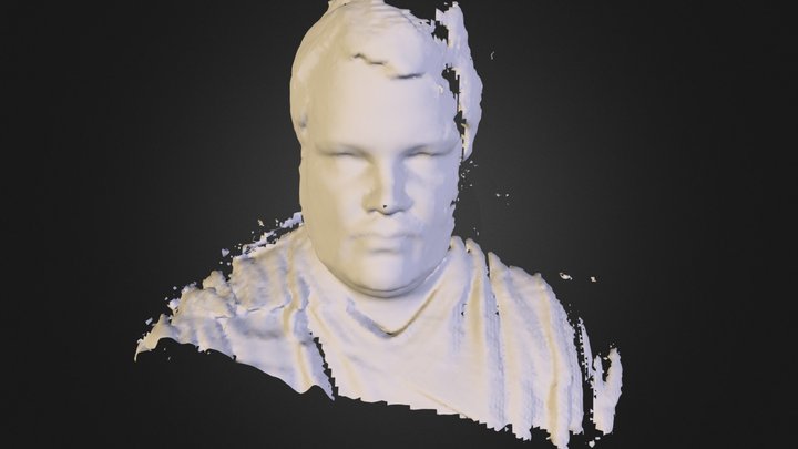 dallo33d.ply 3D Model