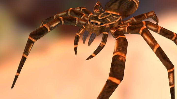 Spider – Kostenloses 3D-Modell STL
