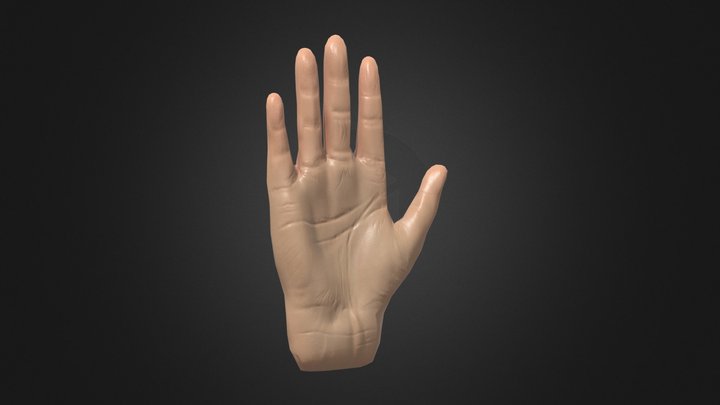 Hand Sculpt 3D Model