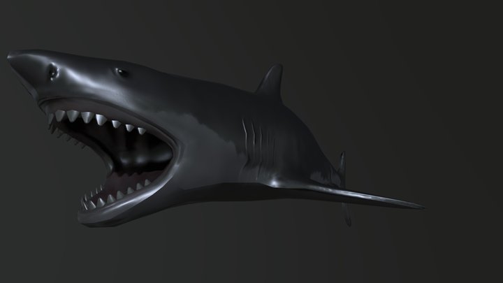 Great White Shark ( Carcharodon carcharias ) – Modelo 3D gratuito STL